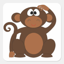 Cute Monkey