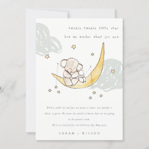 Cute Moon Stars Elephant Bunny Baby Aankondiging