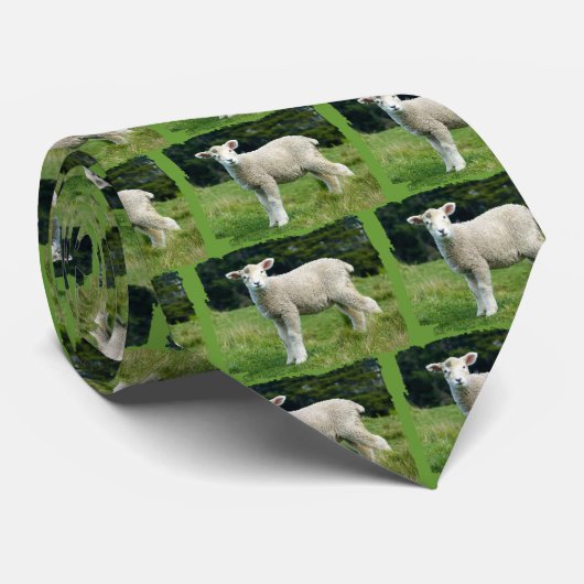 Cute Muddy Lamb Baby Sheep in Meadow Stropdas (Opgerold)