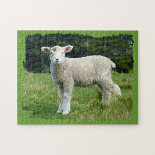Cute Muddy Lamb in Meadow Ragged Edge Design Legpuzzel