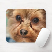 Cute Muismat (Met muis)