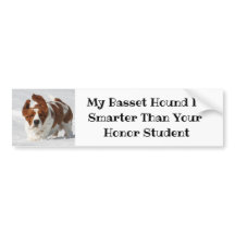 Cute "My Basset Hound is slimmer"-Bumpersticker