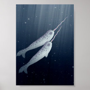 Cute Narwhals die onder water zwemmen Poster