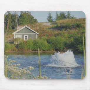 Cute Natuur Photo Pond Fountain Muismat