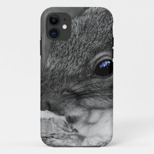 Cute New York City Squirrel iPhone 11 Hoesje