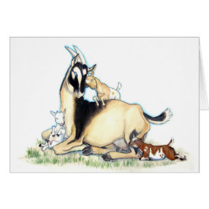 Cute Nigerian Dwarf Goat and Kinder