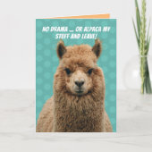 Cute No Drama Llama Or Alpaca My Stuff Birthday Kaart (Voorkant)