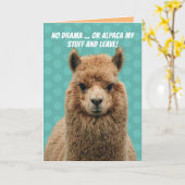 Cute No Drama Llama Or Alpaca My Stuff Birthday Kaart (Gele Bloem)