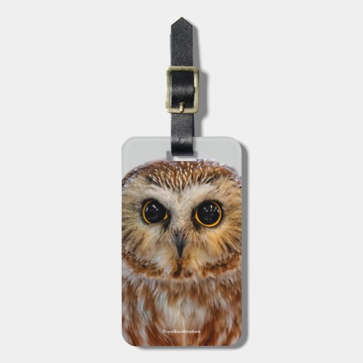 Cute Northern Saw Whet Owl Bagagelabel (Voorkant verticaal)