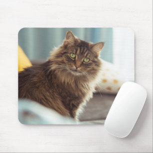Cute Norwegian Cat Muismat
