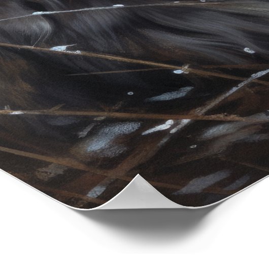 Cute Norwegian Forest Chat Art Imprimer Poster (Coin)