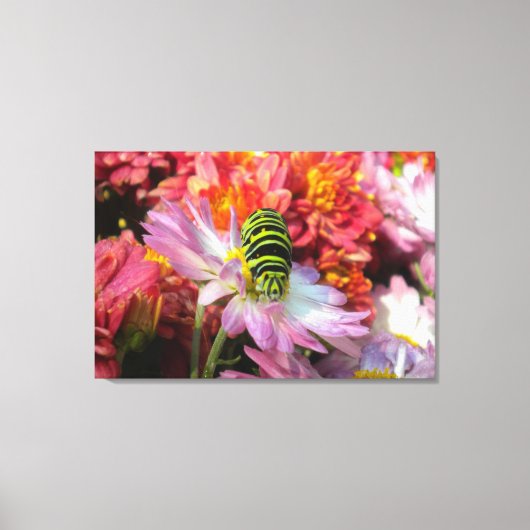 Cute Nosy Caterstyle N Mums Wrapped Canvas (Voorkant)