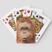 Cute orangutan pokerkaarten (Achterkant)