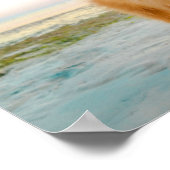 Cute Oranje pommern in zand bij het strand Poster (Hoek)