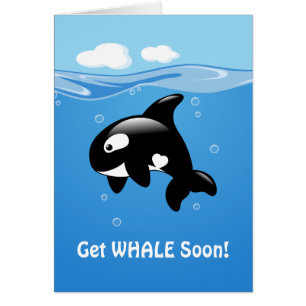 Cute Orca Get WHALE (Wel binnenkort)
