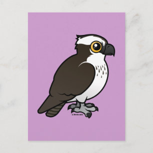 Cute Osprey Briefkaart