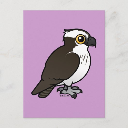 Cute Osprey Briefkaart (Voorkant)