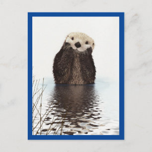 Cute Otter Animal Blue Briefkaart