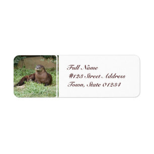 Cute otter-maillabels etiket