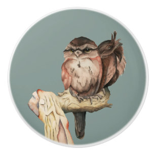 Cute Owl Birds Waterverf Portret Keramische Knop
