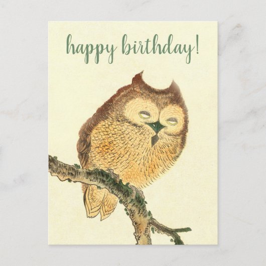 Cute Owl - Carte postale d'anniversaire japonais (Devant)