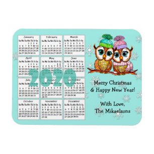 Cute Owl Couple Blauwgroen Snowflakes 2020 Mini Ca Magneet