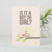 Cute Owl Famille Bébé Genre Reveal Invitation (Debout devant)