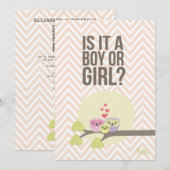 Cute Owl Famille Bébé Genre Reveal Invitation (Devant / Derrière)