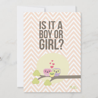 Cute Owl Famille Bébé Genre Reveal Invitation