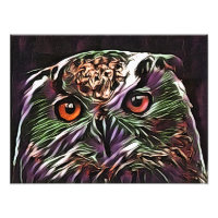 CUTE OWL