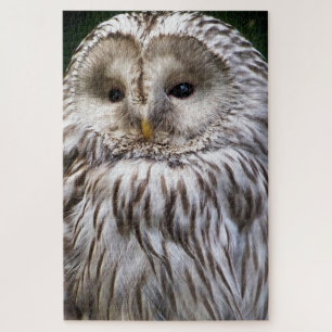 CUTE OWL LEGPUZZEL