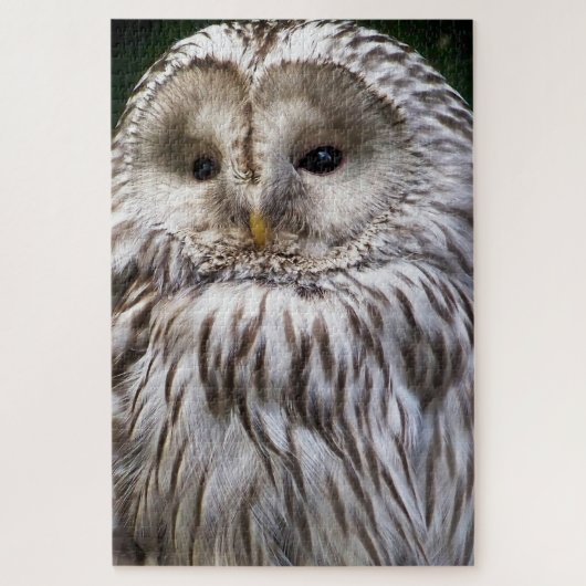 CUTE OWL LEGPUZZEL (Verticaal)
