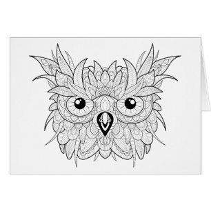 Cute Owl Portrait Doodle