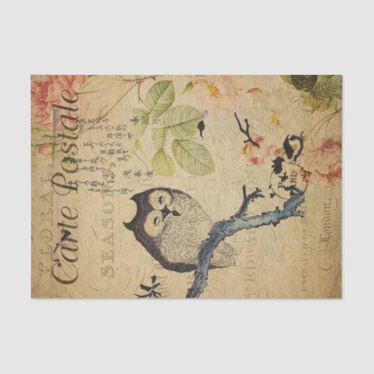 Cute Owl roze Roses French Ephemera Decoupage Tis Tissuepapier (Voorkant)