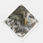 CUTE OWL SERVETTEN (Hoek)