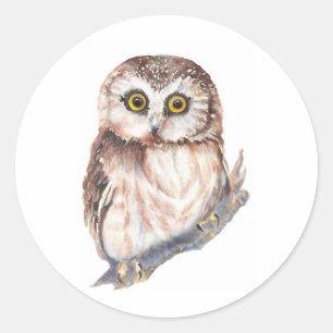 Cute Owl - Waterverf Bird Collectie Ronde Sticker