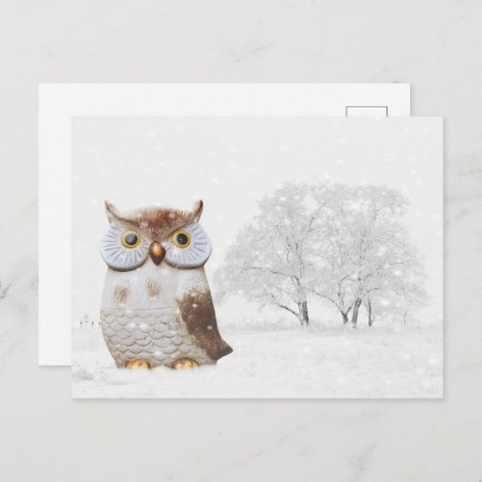 Cute Owl Wintry Snow-kerstfeestdag Feestdagenkaart (Voorkant / Achterkant)