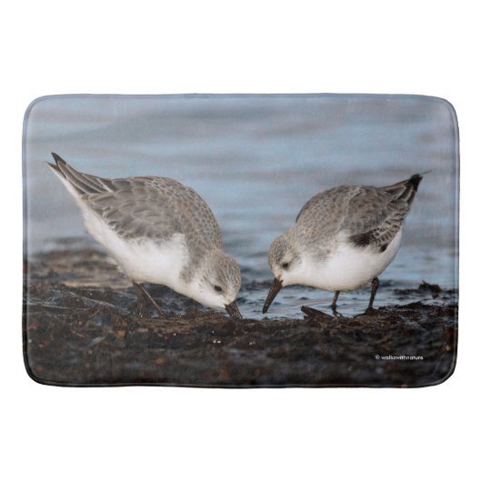 Cute Pair van Sanderlings Shares a Seaside Meal Badmat (Voorkant)