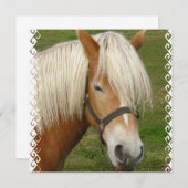 Cute Palomino-Pony Kaart (Voorkant / Achterkant)