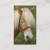 Cute Palomino Pony Visitekaartjes (Achterkant)