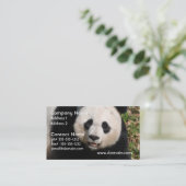 Cute Panda Beer Visitekaartje (Staand voorkant)