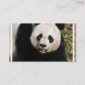 Cute Panda Beer Visitekaartje (Achterkant)