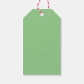 Cute Panda Illustration Cadeaulabel (Achterkant)