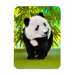 Cute Pandabeer Kawaii Dierenliefhebber Perfect Cad Magneet