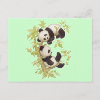 Cute Pandas Briefkaart