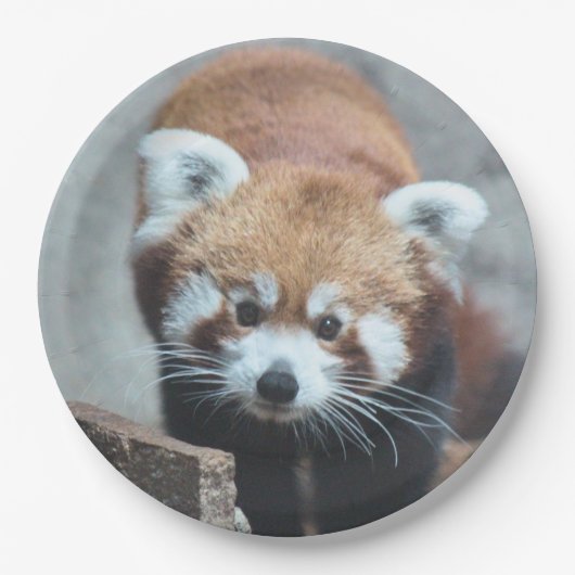 Cute Papieren Bordje (Voorkant)