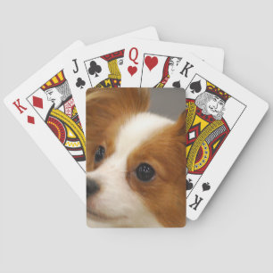 Cute Papillon Dog Speelkaarten