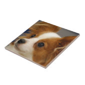 Cute Papillon Dog Tegeltje (Zijkant)