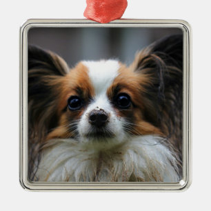 Cute papillon hond metalen ornament