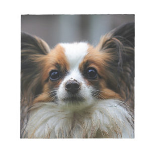 Cute papillon hond notitieblok